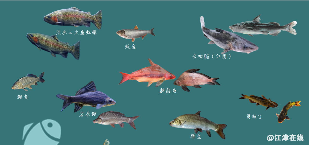 4d48f6fb5727c58b947ffcbeba3a93c6.png