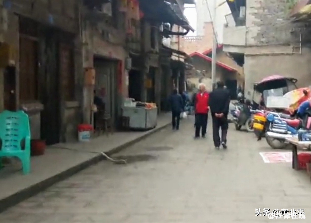 259dddceaca949e096ef5acd87987555~tplv-tt-origin-web:gif.jpeg?_iz=58558&from=article.jpg
