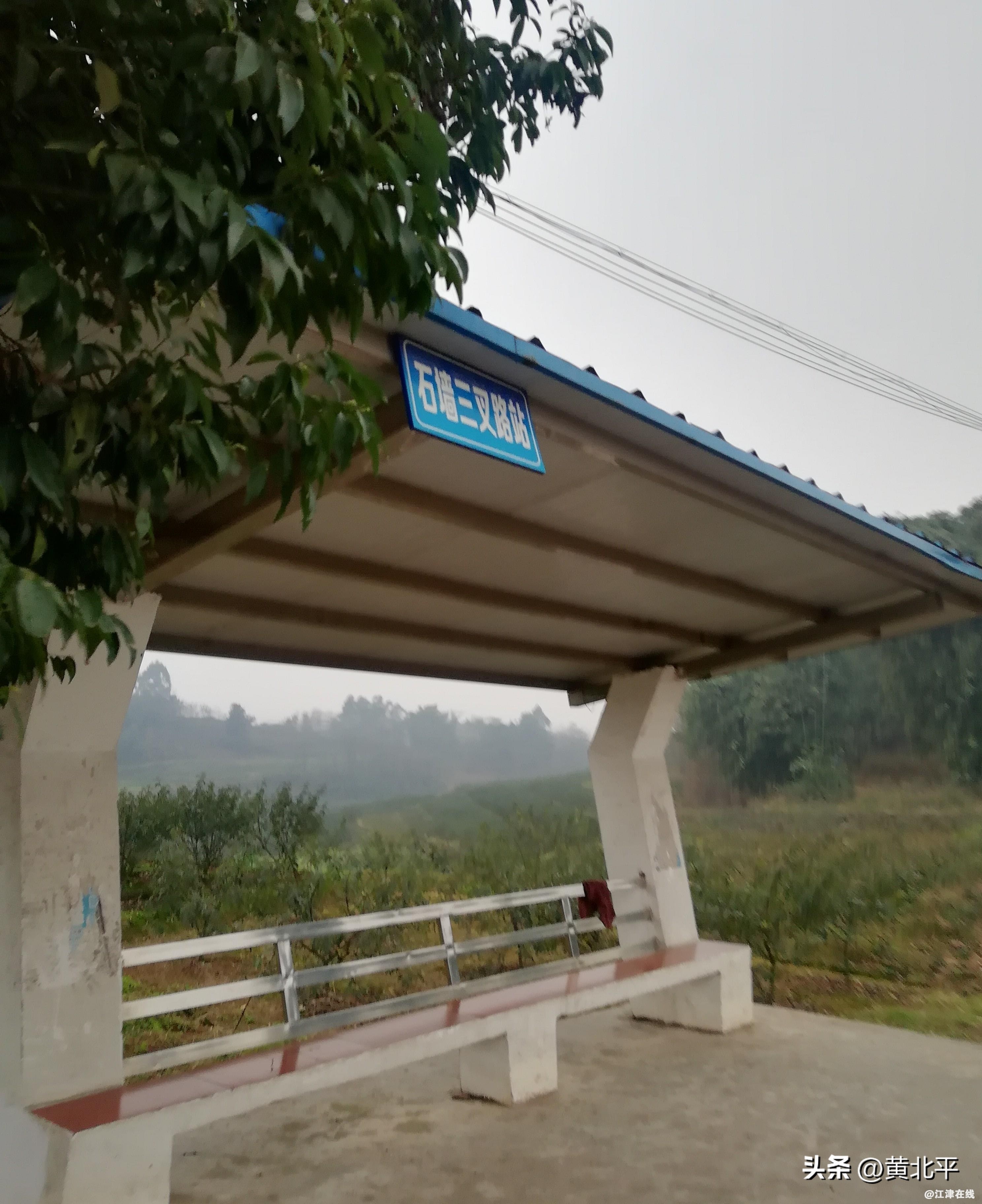 b439f1e9558c4852b523340bfadcd012~tplv-tt-origin-web:gif.jpeg?_iz=58558&from=article.jpg