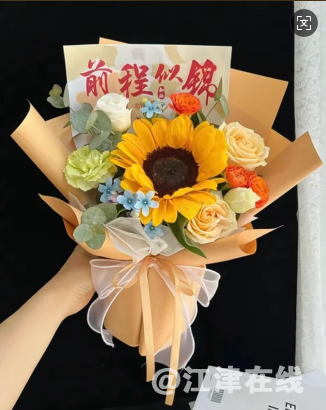 QQ_1749067775826.png