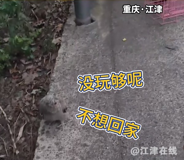 微信截图_20250612162851.png