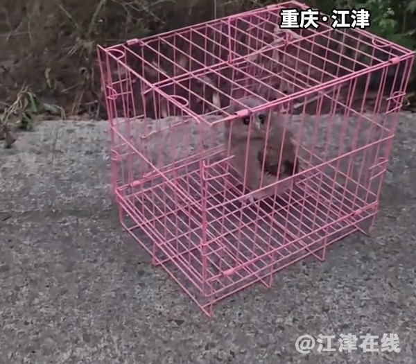 微信截图_20250612162826.png