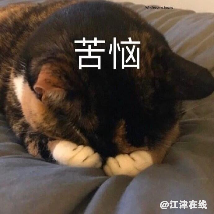 b2078c03d0378ef69fcdbba71152d776.png