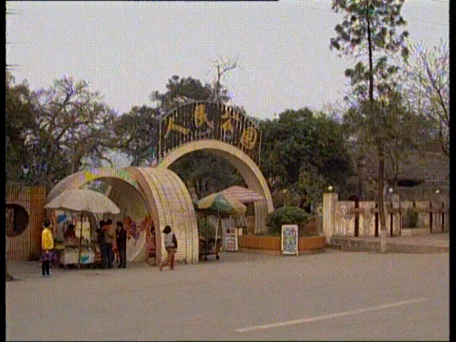 c60b34d6036617c8b7aae815e79d8a20.gif