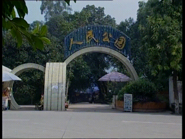 d2f2424a80eb4abb2956994b8b0b8798.gif